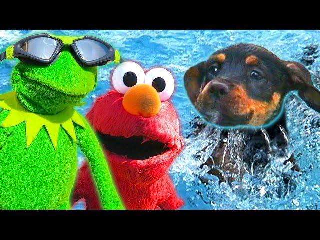 Kermit the Frog, Elmo, and Puppy go Swimming!