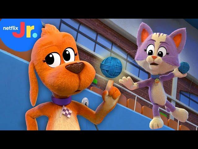 Best Tricks Compilation!  | Go, Dog. Go! | Netflix Jr