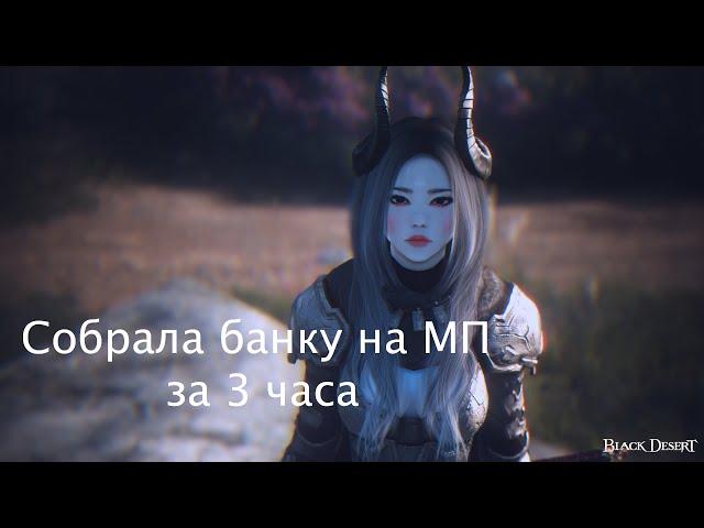[Black Desert] Как я собрала банку на МП