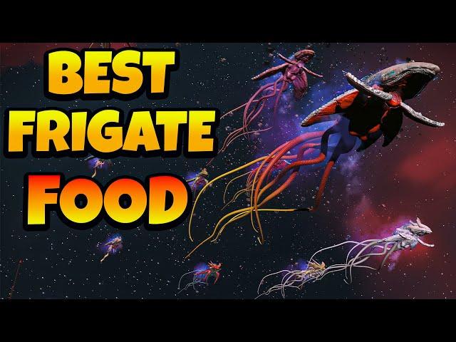 How to Find Best 5 Living Frigates S Class No Man's Sky Aquarius