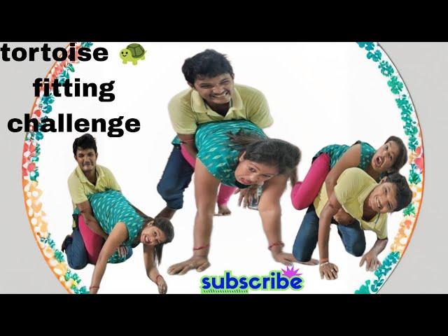 Tortoise   Fighting Challenge video ll Funny video ll husband and wife