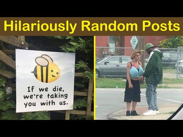 Hilariously Random Posts Make You Laugh (NEW PICS) | Happy Bears