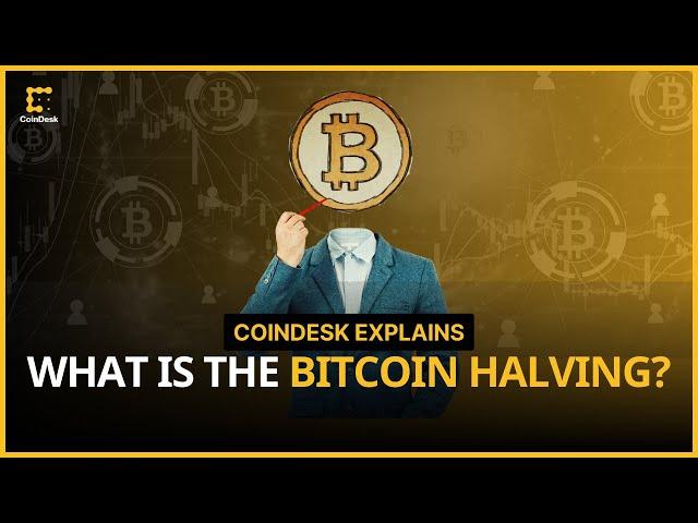 What is the Bitcoin Halving? | CoinDesk Explains