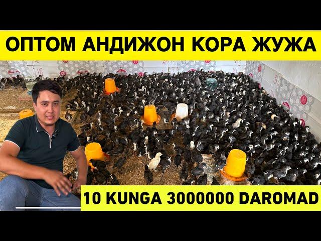 OILAVIY 1000$-1500$ OYIGA FOYDA JO'JA BOQISH BIZNESI