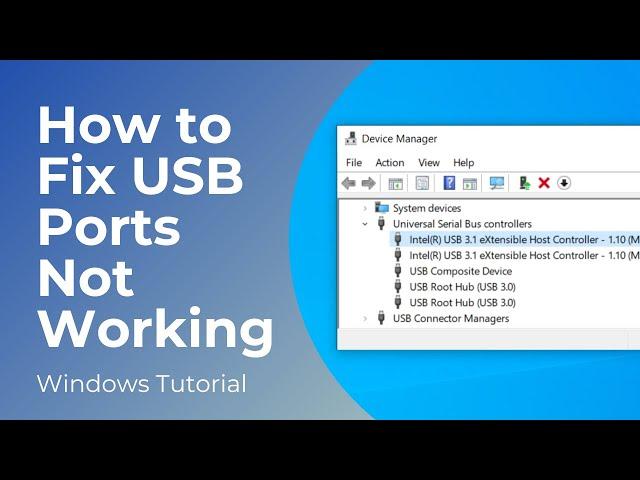 How to Fix USB Ports Not Working in Windows 10/11