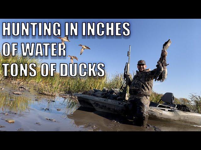 SOLO HUNT IN INCHES OF WATER TONS OF DUCKS