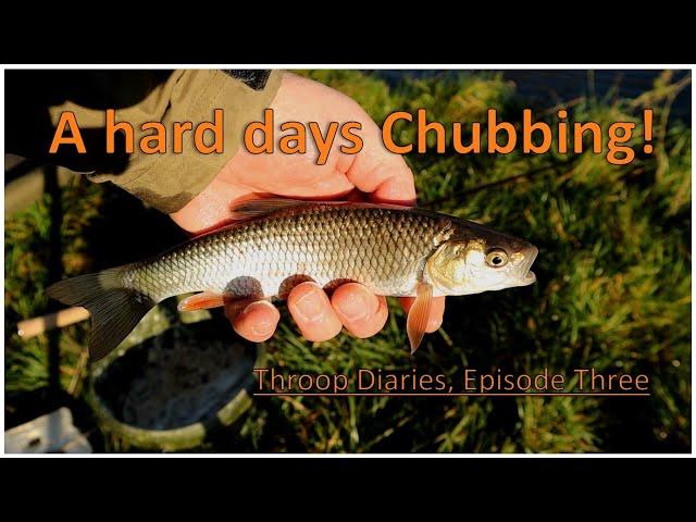 Throop fishery - Episode Three - A hard days Chub fishing!