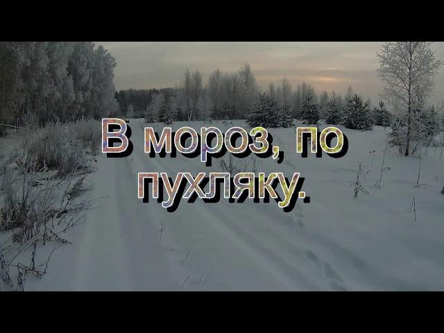 Охота с лайкой на куницу... В мороз, по пухляку...