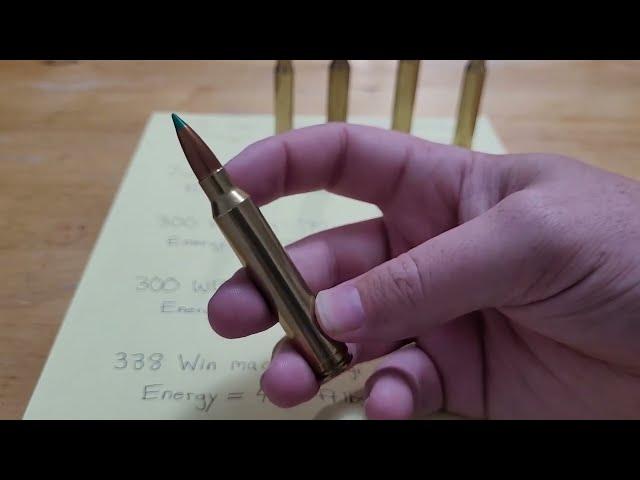 300 Winchester Mag: Dominance for almost 60 years