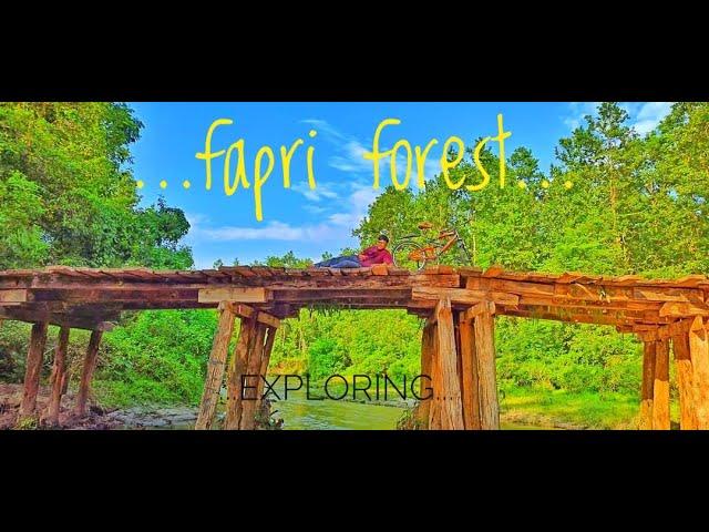 Fapri Forest Siliguri || Fapri bridge || Siliguri Rajfapri exploring