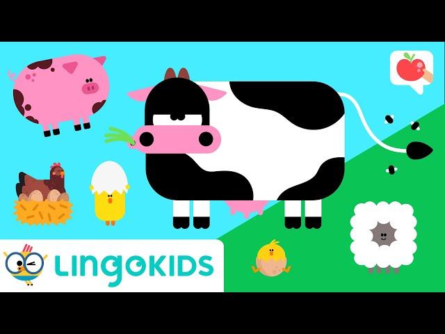 FARM ANIMALS for toddlers  VOCABULARY, SONGS and GAMES | Lingokids