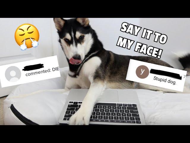 Husky REACTS to HATE Comments! (Almost BREAKS Laptop)