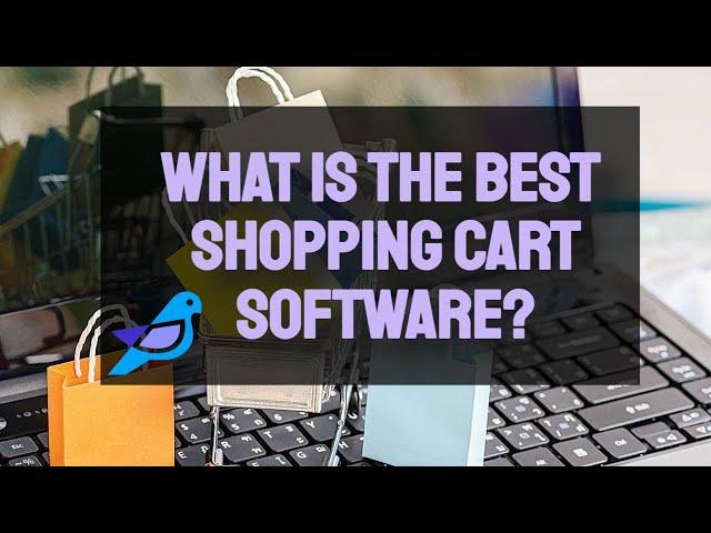 What is the Best Shopping Cart Software? #Mintbird