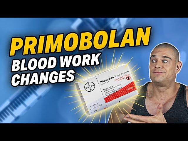 Primobolan Vs. Your BLOODWORK | Estradiol | Lipids | Sex Hormone-Binding Globulin (SHBG) Levels