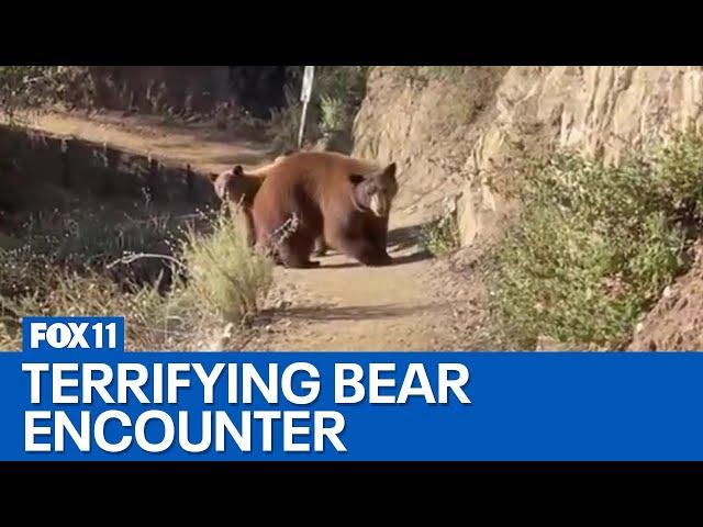 Woman faces off with bear on Southern California hiking trail