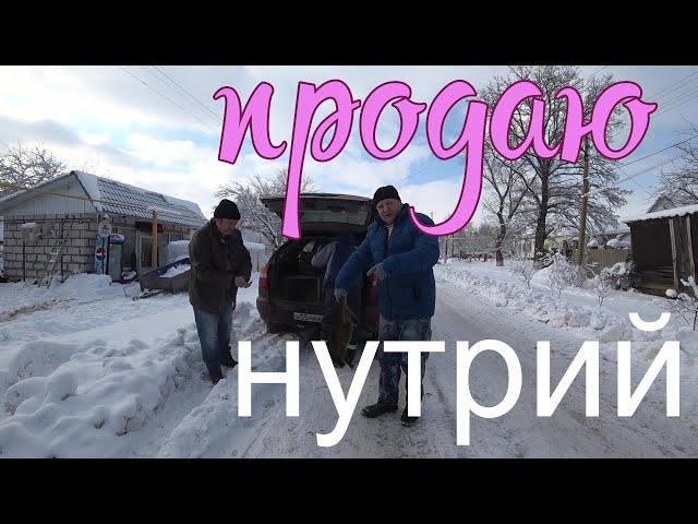 Продаю Нутрий