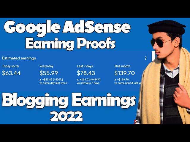 Google AdSense Earning Proof | Blogging Earning Proof 2022 | Website Earning Proof