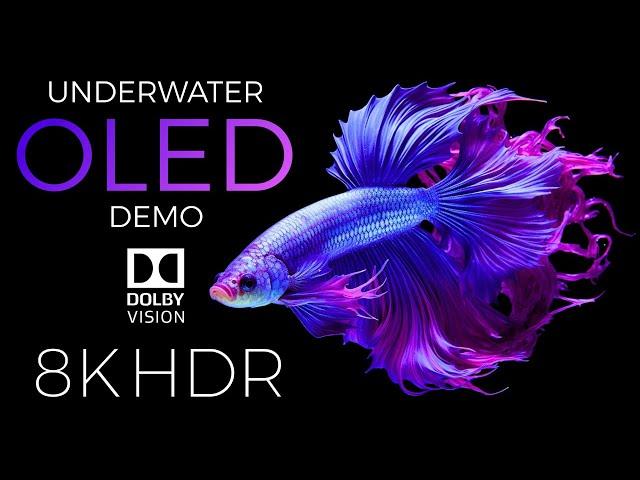 Underwater World OLED Demo HDR 8K Ultra HD Dolby Vision™ 60fps