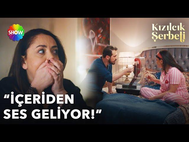 Pembe, Nilay'ın papağanının çıkardığı sesi başka bir şey sandı!  | Kızılcık Şerbeti 27. Bölüm