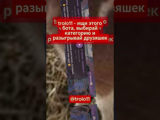 Пранк бот в каждом телефоне #пранкбот #приколыпотелефону #телега #втренде #2024 #друзья #кобяков