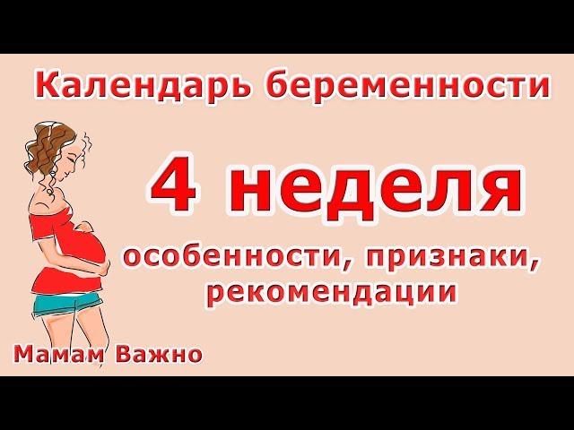 4 неделя беременности: особенности, изменения, рекомендация