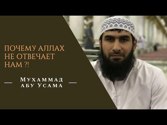 Почему Аллах не отвечает нам ?! Мухаммад абу Усама