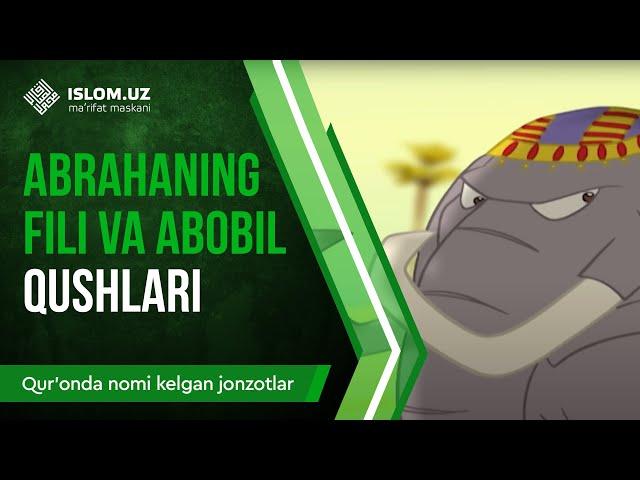 29. Abrahaning fili va abobil qushlari (2-qism) | Qur'onda nomi kelgan jonzotlar