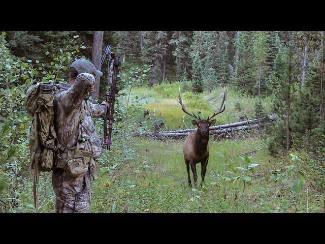 Elk101.com presents, 'WYOMING', elk hunting film