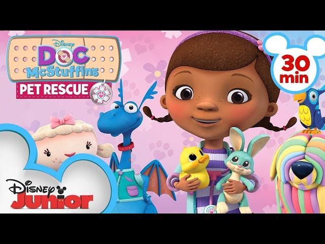 Pet Rescue | 30 Minute Compilation | Doc McStuffins | @disneyjr