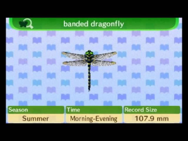 Animal Crossing New Leaf - 100% Bug Encyclopedia Complete