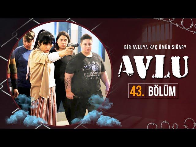 Avlu 43. Bölüm