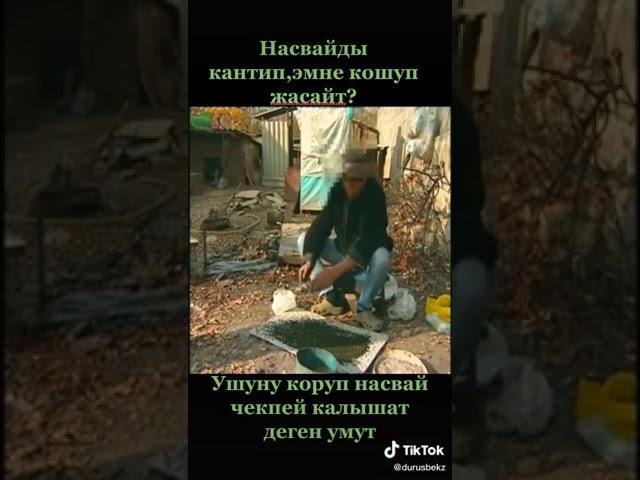 Сиз чеккен насвай кантип жасалат ??? #баткен #насвай