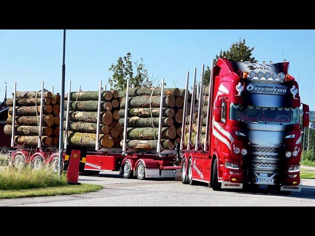 Skane Truckshow 2024 Sweden Part 1 with Scania v8 open Pipes sound and Beautiful Show Trucks