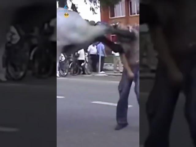 The End  #viral #shorts #funny #fails  #thetaggy