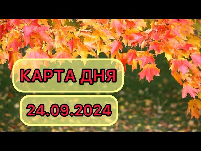 КАРТА ДНЯ ДЛЯ ВСЕХ ЗНАКОВ ЗОДИАКА НА 24 СЕНТЯБРЯ 2024 ГОДА #таро #картадня #тарорасклад #сентябрь