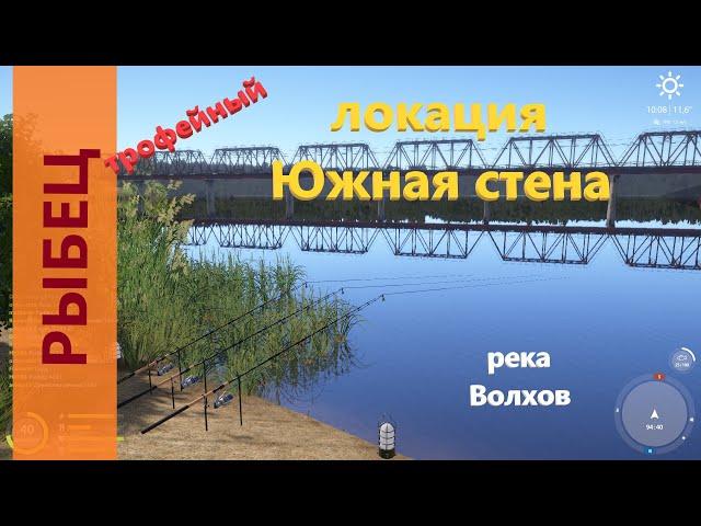 Русская рыбалка 4 - река Волхов - Рыбец трофейный напротив ж\д моста