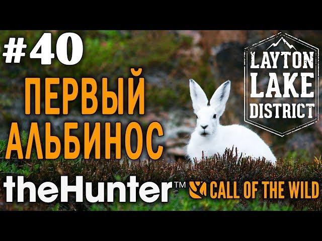 theHunter call of the wild #40  - Первый Альбинос - Лук, Арбалет, Винтовка - Медведь, Заяц, Олень