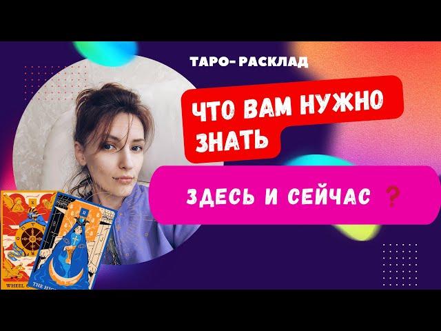 Что вам нужно знать здесь и сейчас ️