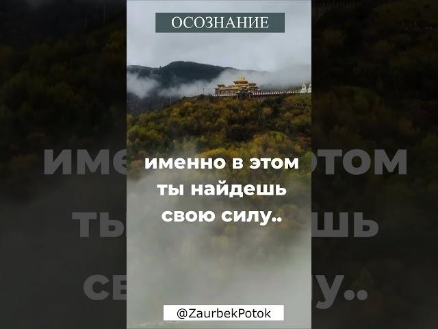 Избегай бурь, но не забывай танцевать под дождем #даосизм #цигун #личностныйрост