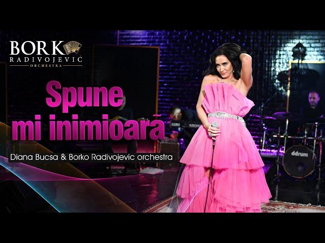 Diana Bucsa & Borko Radivojevic orchestra - Spune mi inimioarà