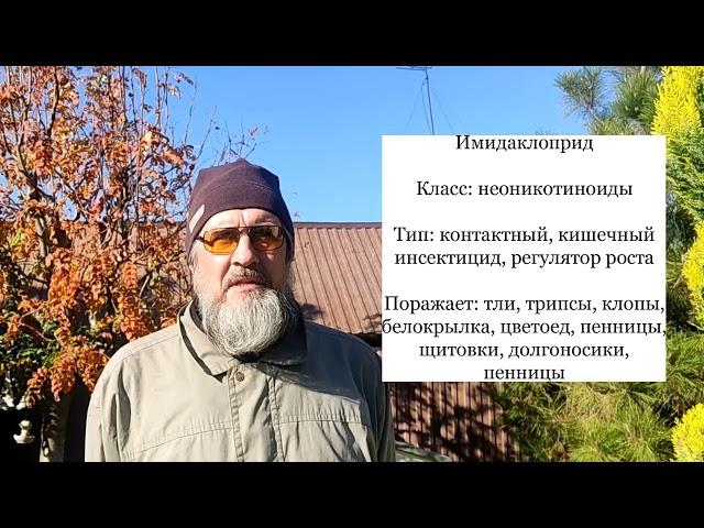 Предзимняя химобработка хвойных и вечнозеленых растений.