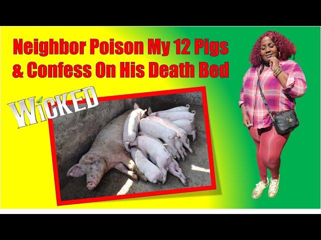 Neighbor Poison My 12 Pigs & Confess On His Death Bed