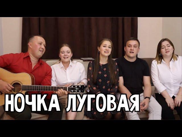 Ночка луговая - ансамбль ПТАШИЦА