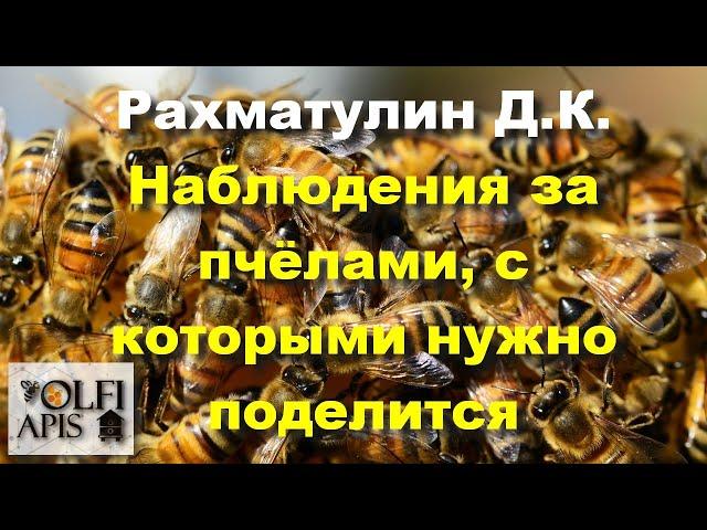 #Рахматулин Д.К. Наблюдения за пчёлами, с которыми нужно поделится