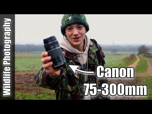 Testing the Canon 75-300mm Lens in the Real World | Wildlife Photography Vlog and Review