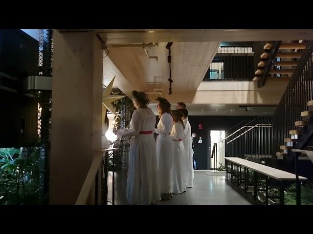 Lucia Songs in Gothenburg, Sweden – December 2024 (Part 8 of 9)