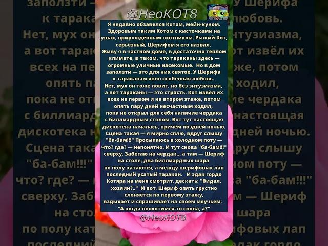 Кот-мейкун и тараканы  #кошки #котики #кот