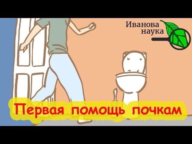 ВЫПИВАЮ пару глотков И ПОЧКИ НЕ БОЛЯТ! Природное очищение печени и почек. Это растение творит чудеса