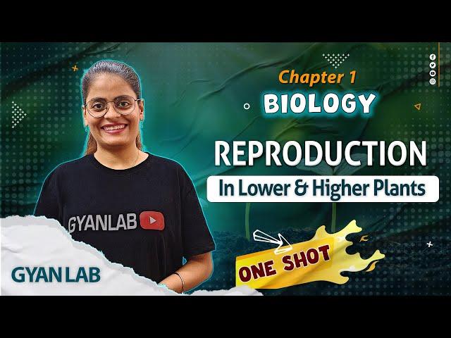 One Shot Lecture | Chp - 1 | Reproduction in Plants | Gyanlab | Anjali Patel #oneshotlecture