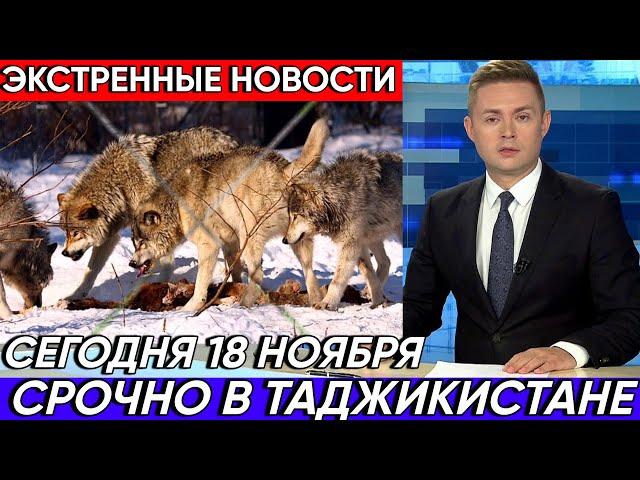 Срочно 18 Февраля ! Экстренные Новости В Таджикистане Стая Волков  Уничтожили Скотов